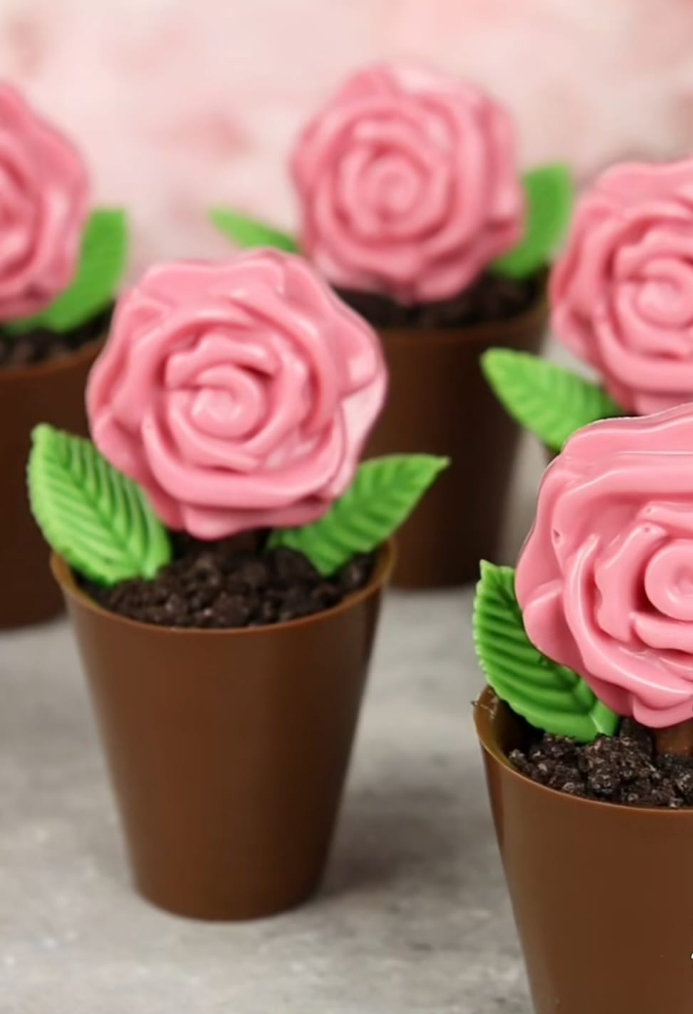 滋味角落 – 朱古力花小盆栽工作坊 (B班)