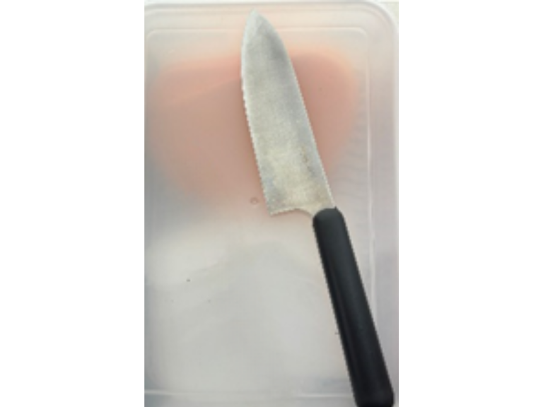 <p><strong>長度：</strong>31cm</p>